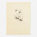 Henry Moore, Lullaby Sketches (from the Auden Poems Moore Lithographs portfolio), 1973, lithograph on Hodgkinson