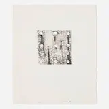 Al Taylor, Untitled (Small Holes), 1988, etching on Somerset Satin