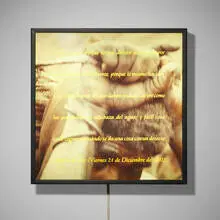 Alfredo Jaar, Terra Non-Descoperta (Undiscovered Land), 1991, lightbox with color transparency