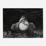 Dieter Appelt, Untitled (from the Erinnerungsspur series), 1979, gelatin silver print