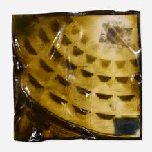 Doug and Mike Starn, Size of Nothing, 1996, toned gelatin silver print on polyester, Plexiglas, silicone and tape