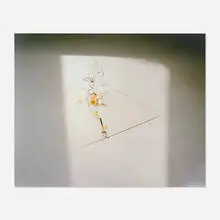 Laura Letinsky, Untitled #13 (from the Ill Form and Void Full series), archival pigment print on Dibond