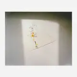 Laura Letinsky, Untitled #13 (from the Ill Form and Void Full series), archival pigment print on Dibond