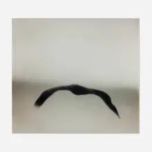 Boomerang II by Michal Rovner, 2000, C-print mounted to acrylic, sold Oct 2024