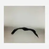 Michal Rovner, Boomerang II, 2000, C-print mounted to acrylic