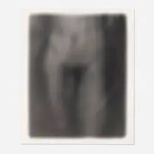 Bill Jacobson, Song of Sentient Beings #1532, 1995, gelatin silver print