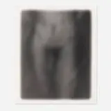 Bill Jacobson, Song of Sentient Beings #1532, 1995, gelatin silver print