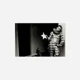Duane Stephen Michals, Harlequin