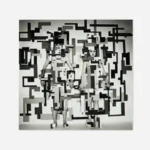 Steven F. Arnold, Desire for Extravagance, gelatin silver print