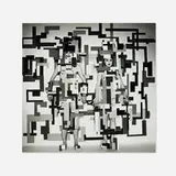 Steven F. Arnold, Desire for Extravagance, gelatin silver print