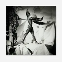 Steven F. Arnold, Kunga Brings My Crown of Dreams, gelatin silver print