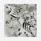 Steven F. Arnold, Imitation of Illusion (Linda Kerridge), gelatin silver print