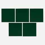 John Adams Griefen, Commission – Five Paintings, 2009, acrylic on canvas
