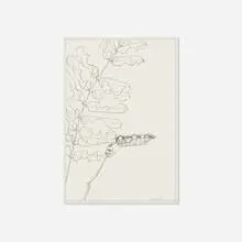 Ernesto Caivano, Floral Veins and Conduits: 082, 2006, ink and graphite on paper
