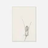 Ernesto Caivano, Floral Veins and Conduits: 088, 2006, ink and graphite on paper