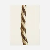 Will Cotton, Candy Stick Tree, 2006, walnut ink on Fabriano paper