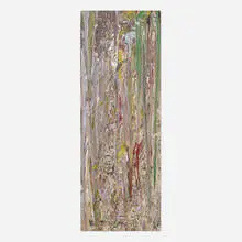 Larry Poons, Drury (80C-15), 1980, acrylic on canvas