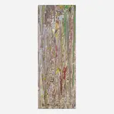 Larry Poons, Drury (80C-15)