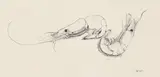 Joan Warburton, Untitled