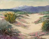 Kathryn W. Leighton, Desert Verbena
