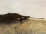Spotted Bull by Michael Coleman, 1973, oil on board, offered Aug 2007
