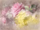 Franz Bischoff, Pink and Yellow Roses
