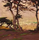 Mary DeNeale Morgan, Cypress near the Sea at Dusk