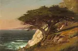 Raymond Dabb Yelland, Cypress Tree, Carmel Bay