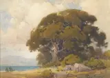Percy Gray, Old Oak near the Bay, watercolor on paper
