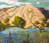 Mary DeNeale Morgan, Upper Carmel Valley Hills near Jamesburg