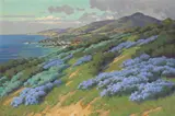 John Marshall Gamble, Wild Heliotrope near Laguna Beach