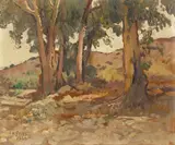 Charles A. Fries, Eucalyptus in North Cholla Valley