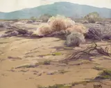 Sam Hyde Harris, Desert Brush