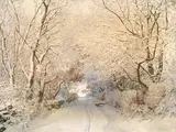 Walter Launt Palmer, Path in a Winter Landscape