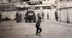 Seán Hillen, Bogside