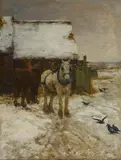 Claude Hayes, Shire Horse