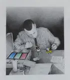 Dan Farrelly, Untitled