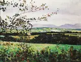 Diarmuid Boyd, Inch, Co Kerry