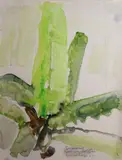 Barrie Cooke, Banana Tree Glasnevin Botanics