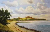 Nigel Henderson, Coastal Landscape