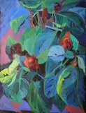 Anne Tallentire, Untitled