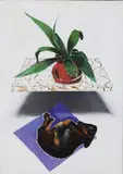 Micheal Farrell, Giuseppi My Dog With A Plant