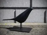 Ed Miliano, Blackbird Iii