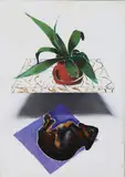 Micheal Farrell, Giuseppi My Dog With A Plant