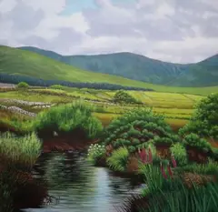 Raymond Kinghan, Belderrig River