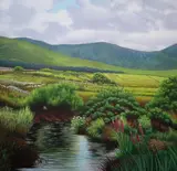 Raymond Kinghan, Belderrig River