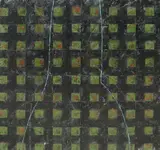Charles Tyrrell, Shadowlines Vi