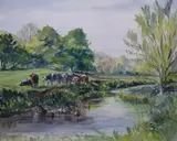 Coralie de Burgh, Irish Landscape
