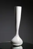 Michael Foley, Vaso Blanca