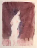 Neil Shawcross, Nude